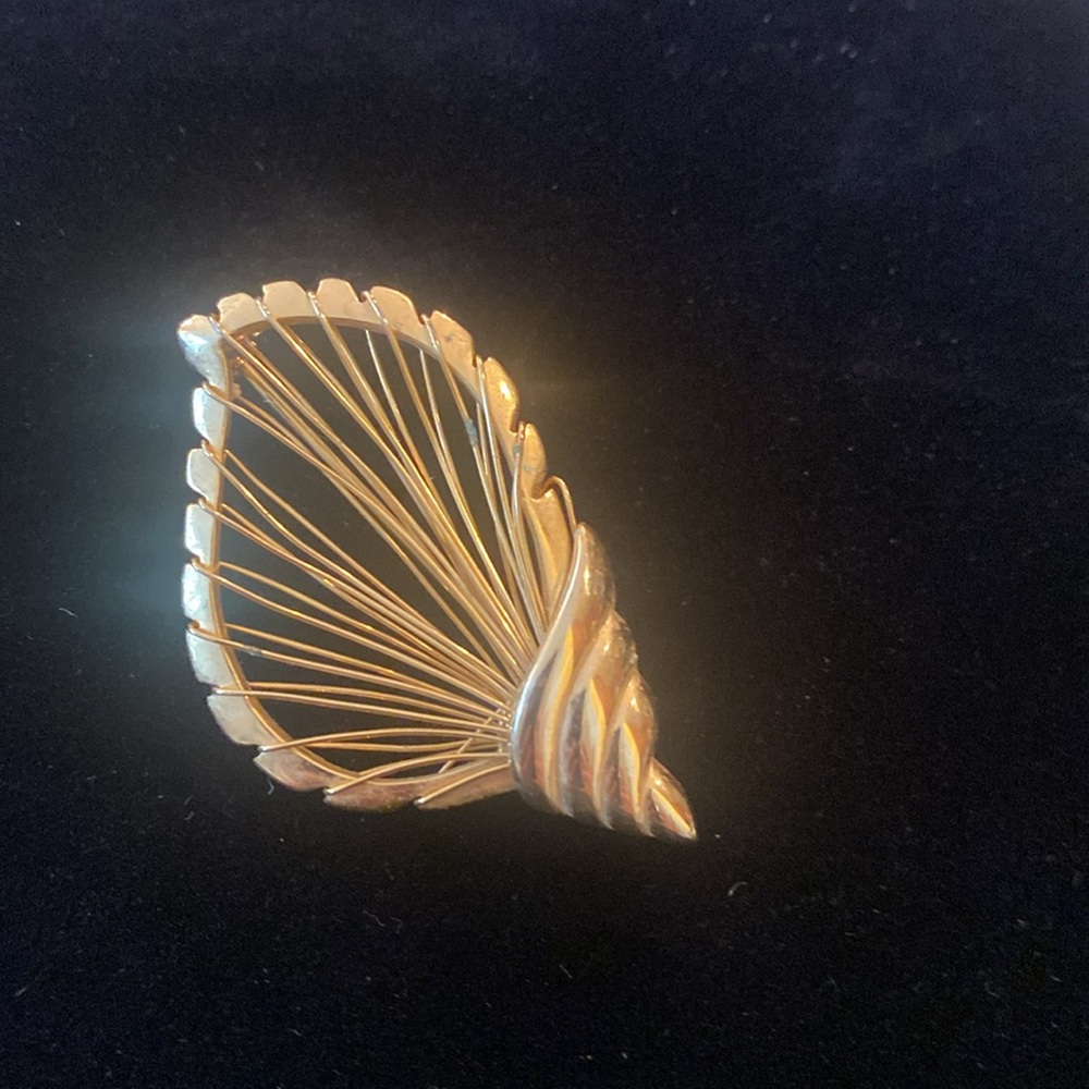 Gold Wire Seashell Brooch